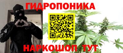 гидра Шелехов