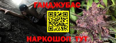 амф Шебекино